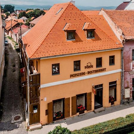 Voeroes Guest House Tîrgu Secuiesc Zewnętrze zdjęcie