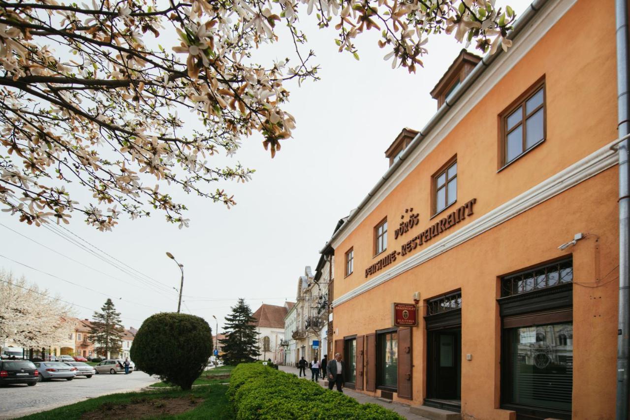 Voeroes Guest House Tîrgu Secuiesc Zewnętrze zdjęcie
