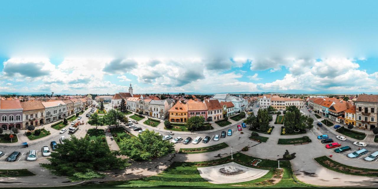 Voeroes Guest House Tîrgu Secuiesc Zewnętrze zdjęcie