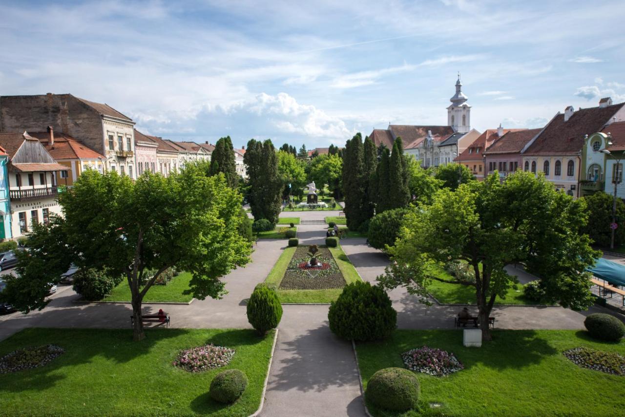 Voeroes Guest House Tîrgu Secuiesc Zewnętrze zdjęcie