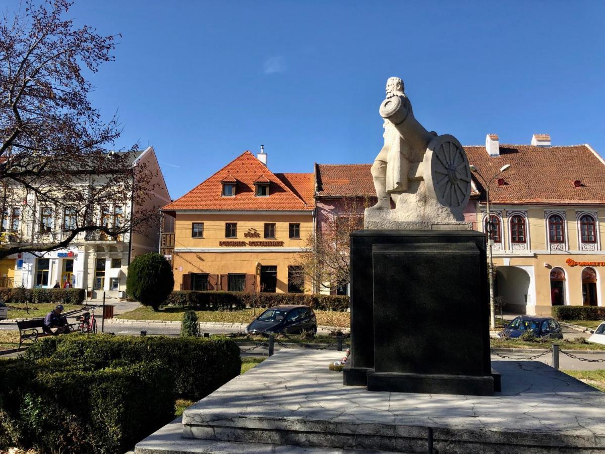 Voeroes Guest House Tîrgu Secuiesc Zewnętrze zdjęcie