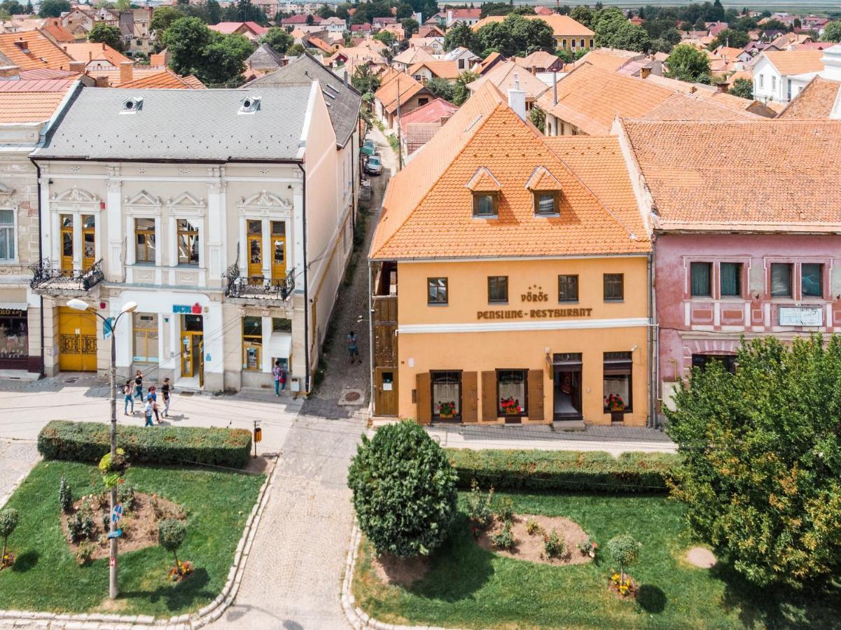 Voeroes Guest House Tîrgu Secuiesc Zewnętrze zdjęcie