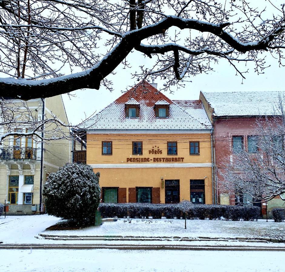 Voeroes Guest House Tîrgu Secuiesc Zewnętrze zdjęcie